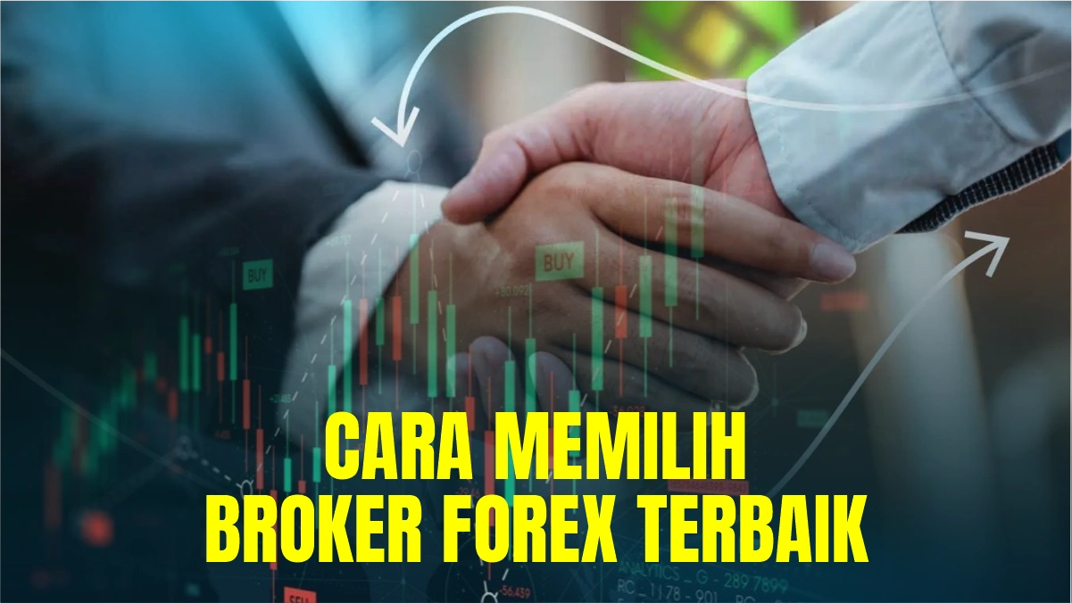 Cara Memilih Broker Forex Terbaik, Jangan Sampai Rugi!