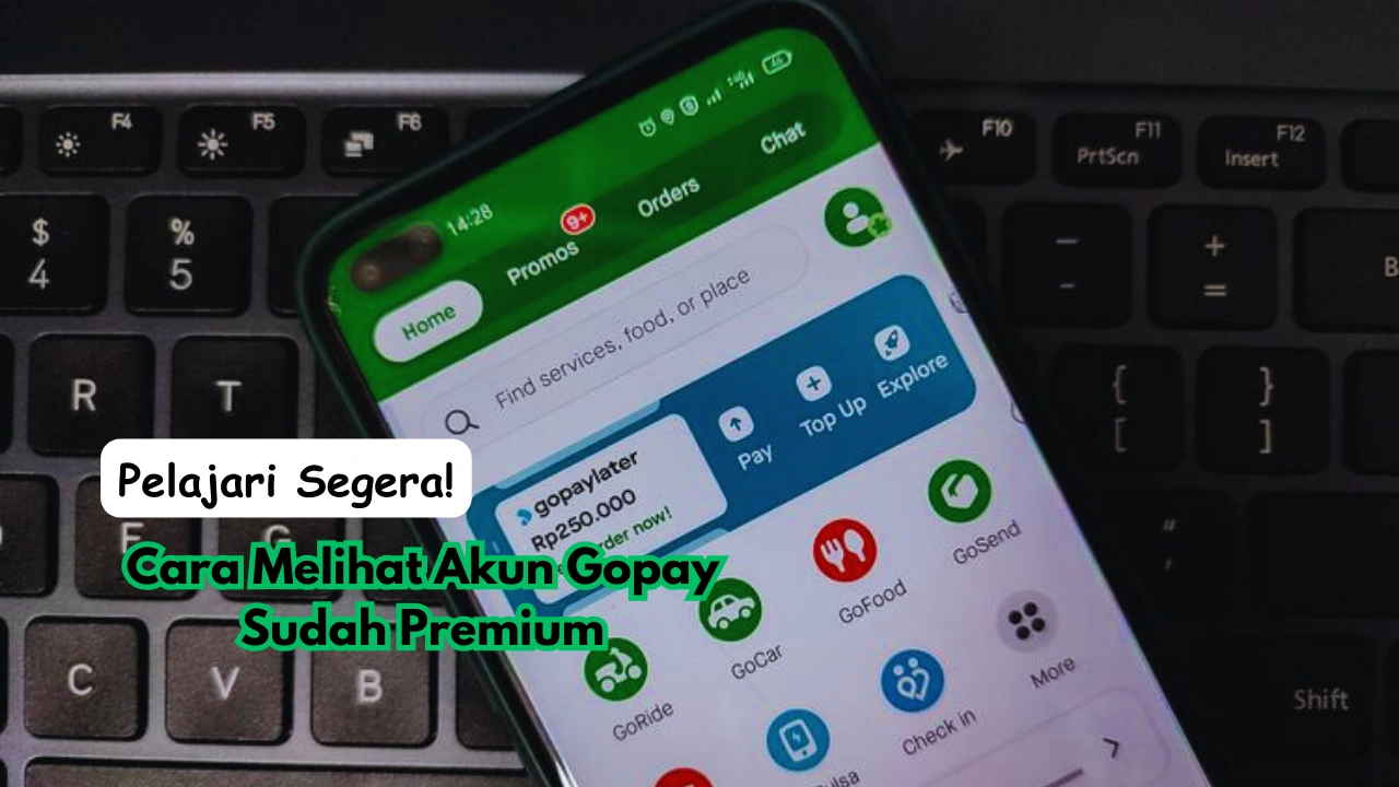 Pelajari Segera! Cara Melihat Akun Gopay Sudah Premium